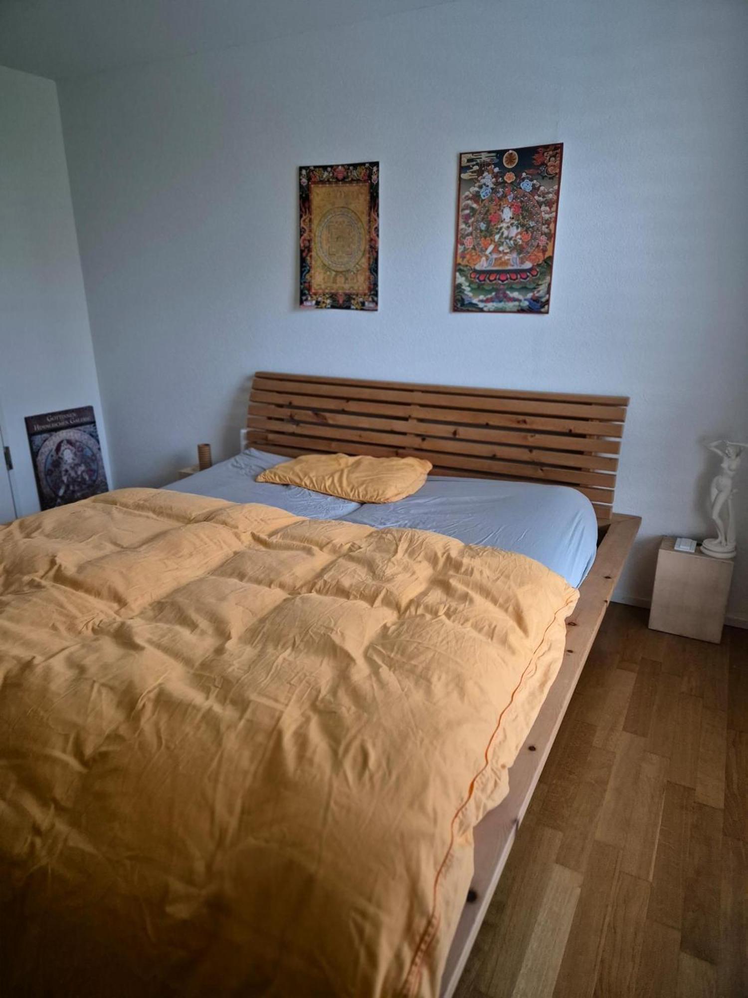 Zimmer In Penthouse-Wohnung Windisch Chambre photo