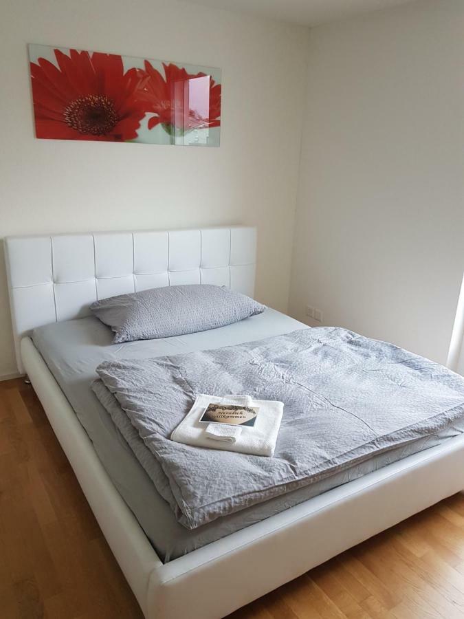 Zimmer In Penthouse-Wohnung Windisch Extérieur photo