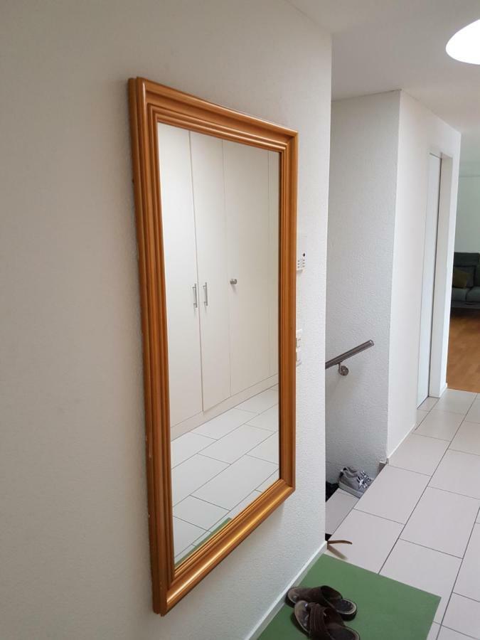 Zimmer In Penthouse-Wohnung Windisch Extérieur photo
