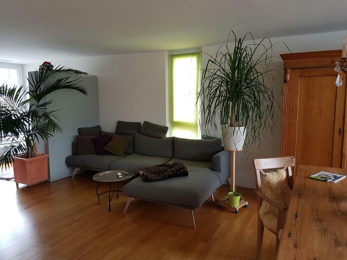 Zimmer In Penthouse-Wohnung Windisch Extérieur photo