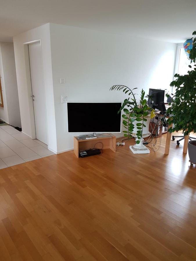 Zimmer In Penthouse-Wohnung Windisch Extérieur photo